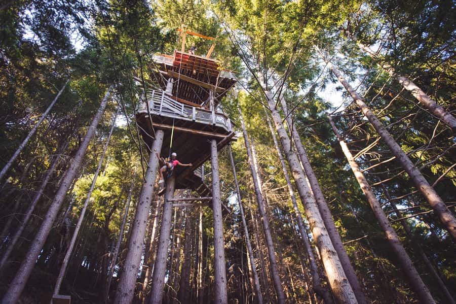 Queenstown: 1-Hour Zipline Tour with 2-Lines & 21-Meter Drop - Timing, cancellation, and practical planning