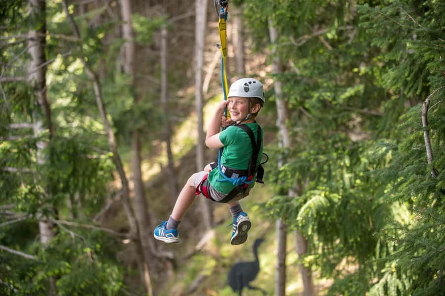 Queenstown: 2-Hour Zipline Tour with 4-Lines - How much value do you get for $95?