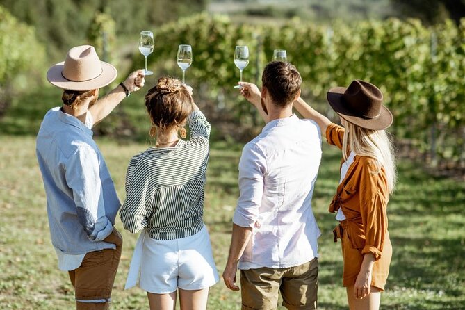 Queenstown Afternoon Wine Tour - Peregrine | Kinross | Amisfield - What makes this Queenstown wine tour worth your afternoon