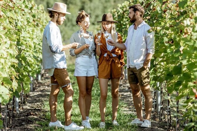 Queenstown Afternoon Wine Tour - Peregrine | Kinross | Amisfield - Starting at 3 p.m. from central Queenstown