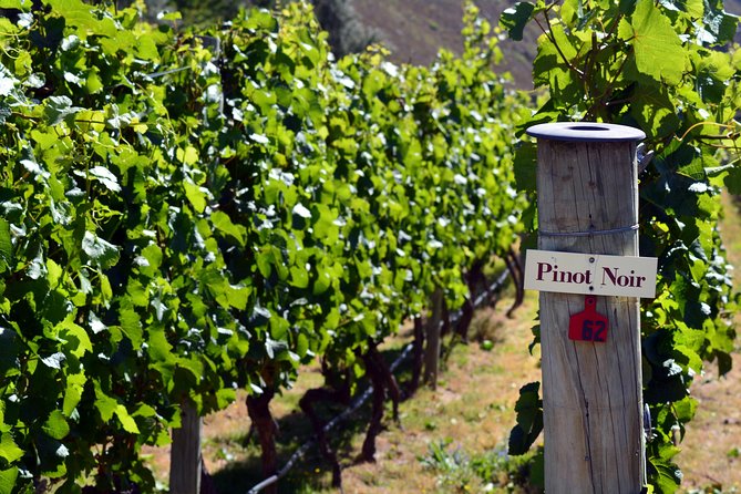 Queenstown Afternoon Wine Tour - Peregrine | Kinross | Amisfield - Amisfield for scenery, stonework, and a strong finish