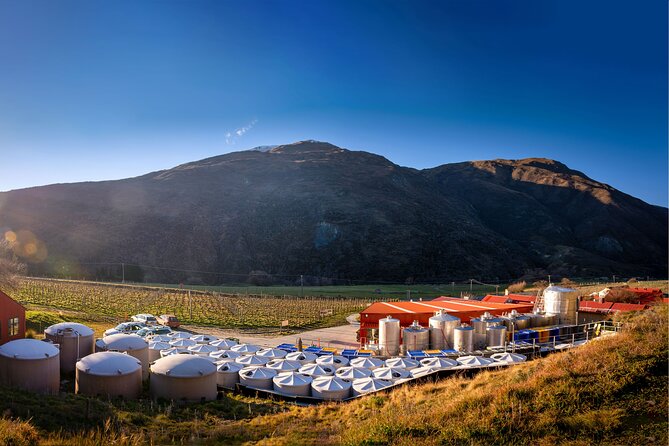 Queenstown Afternoon Wine Tour - Peregrine | Kinross | Amisfield - Who will enjoy this afternoon most?