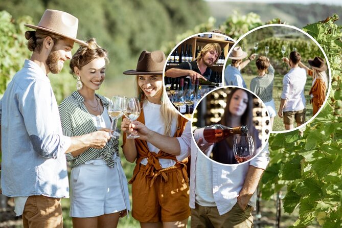 Queenstown Afternoon Wine Tour - Peregrine | Kinross | Amisfield - First stop: Gibbston Valley Wines and the cellar experience