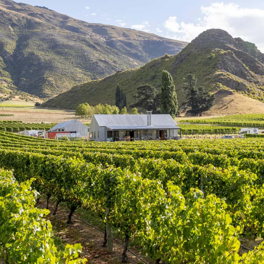 Queenstown, Arrowtown, Gibbston: Flexible Wine Hopper Tours - From Queenstown to the Kawarau River
