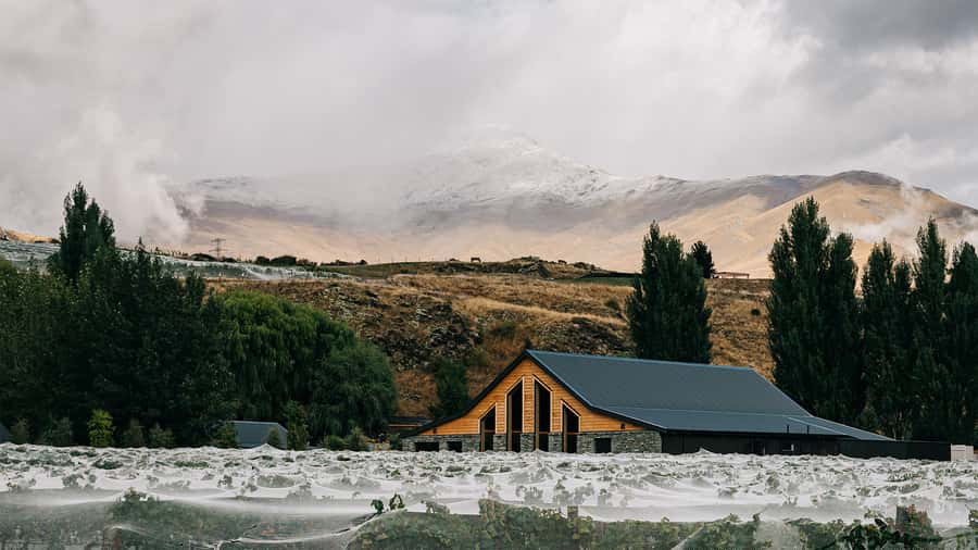 Queenstown: Classic Central Otago Wine Tasting Experience - What the 40-minute tasting is really offering