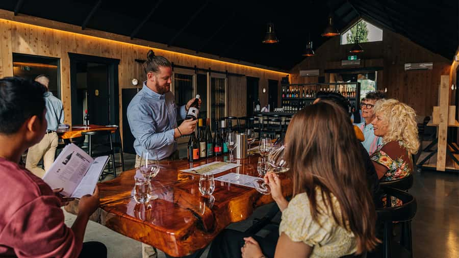 Queenstown: Classic Central Otago Wine Tasting Experience - Central Otago wine explained without a lecture