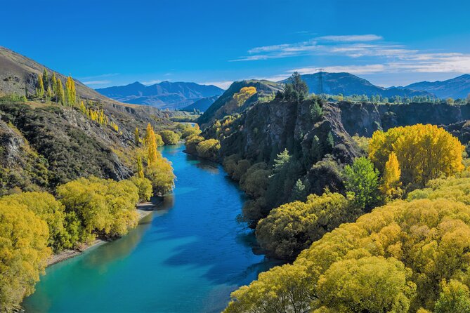 Queenstown Classic Wine Tour: 3 Winery Visits, Cave Tour & Cheese - Wine, cheese, and the question of pacing