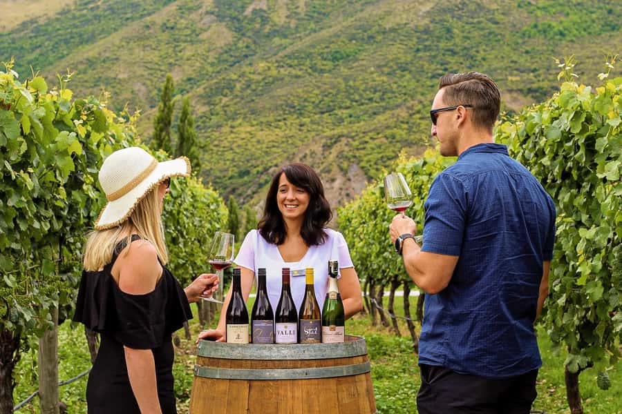 Queenstown: Classic Wine Tour - First tasting: getting a feel for Central Otago wine