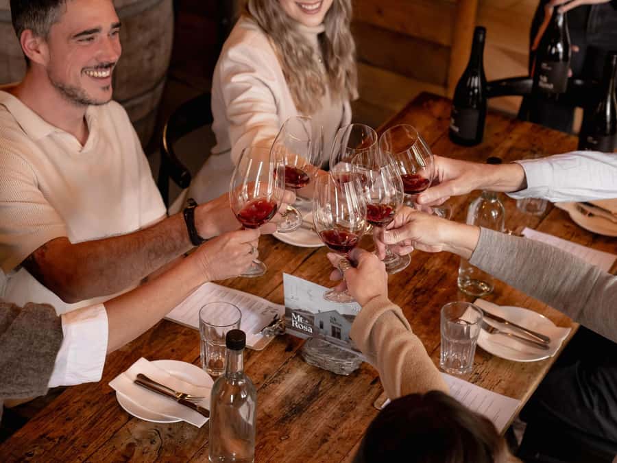 Queenstown: Classic Wine Tour - What the $142 price includes