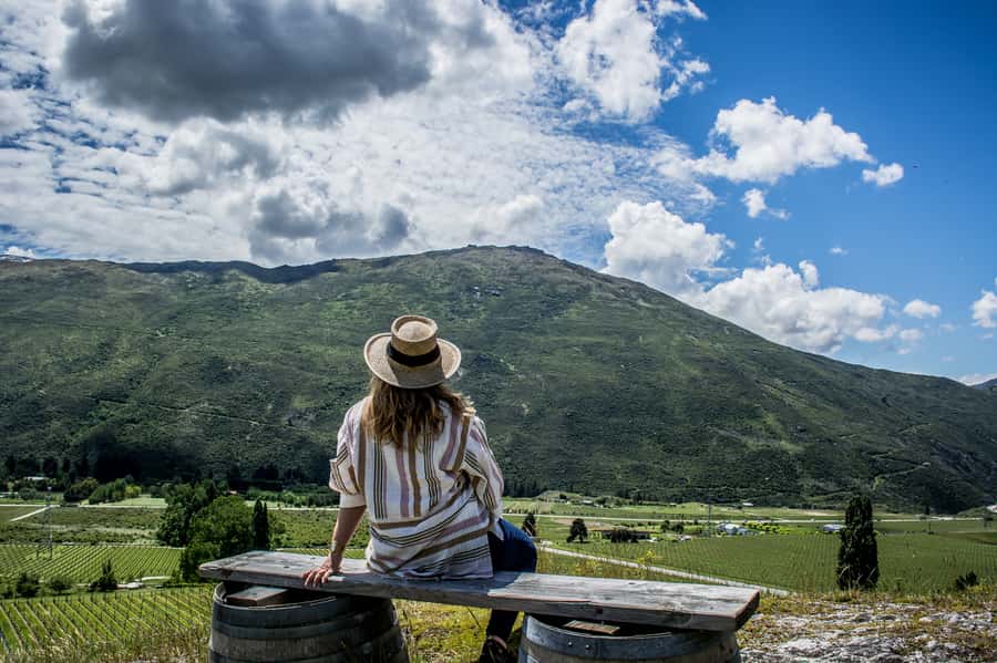 Queenstown & Gibbston Valley: Hop-On Hop-Off Wine Tours - Why this bus tour makes sense in Queenstown