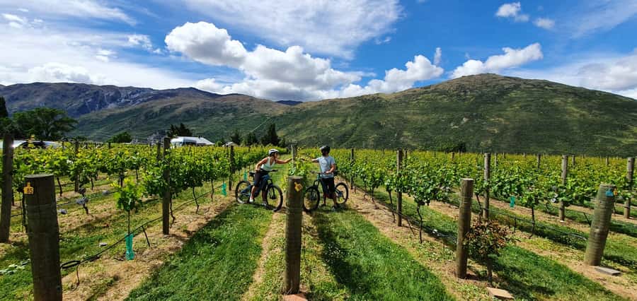 Queenstown: Guided E-Bike Tour with Winery Visits & Tastings - Key points to know before booking