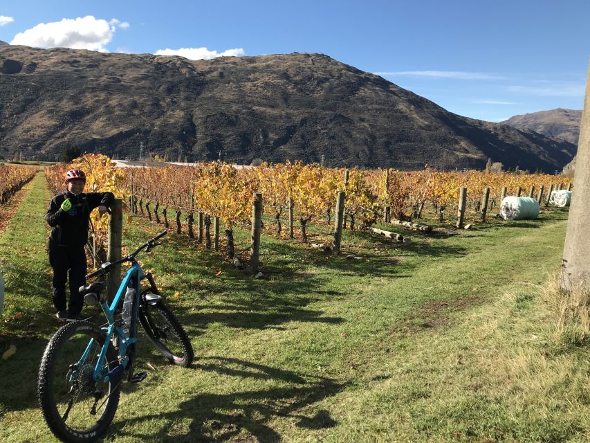 Queenstown: Guided E-Bike Tour with Winery Visits & Tastings - Who will enjoy it most?