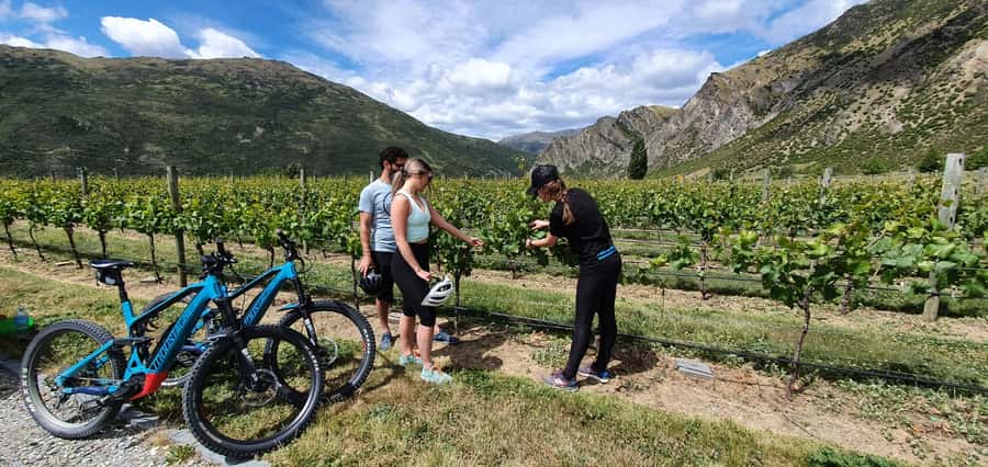 Queenstown: Guided E-Bike Tour with Winery Visits & Tastings - Arrowtown brings the story and scenery