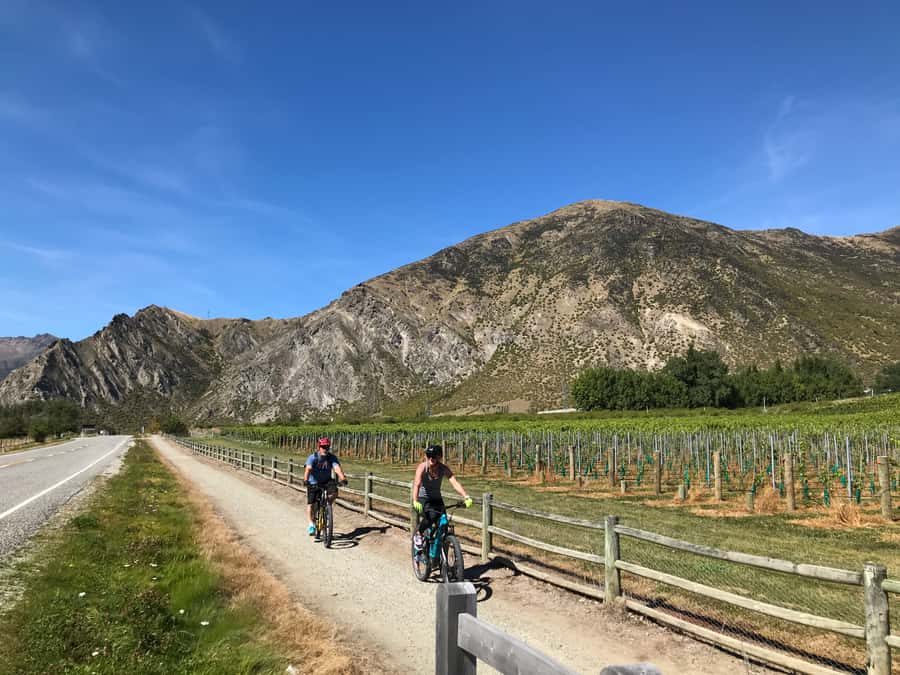 Queenstown: Guided E-Bike Tour with Winery Visits & Tastings - Two family-owned wineries finish the ride