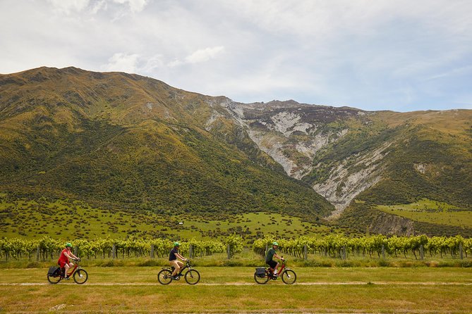 Queenstown Guided E-bike Wine Tour - Why this half-day route works so well