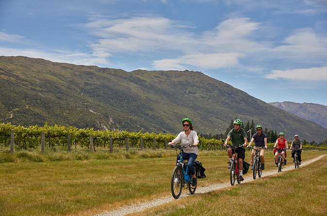 Queenstown Guided E-bike Wine Tour - Stopping at Kawarau Suspension Bridge