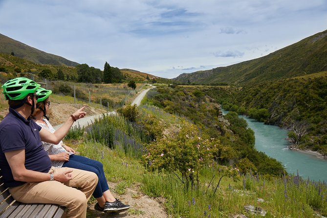 Queenstown Guided E-bike Wine Tour - Who should book this e-bike outing