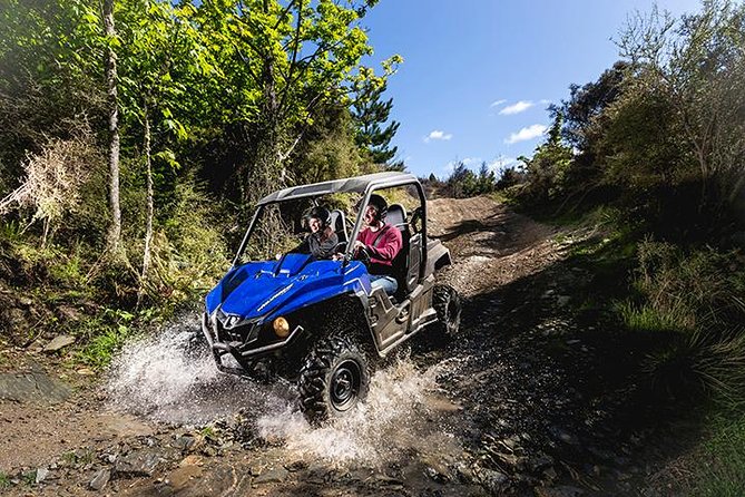 Queenstown Guided Self-Drive Buggy Tour - One hour of bush tracks and off-road challenges