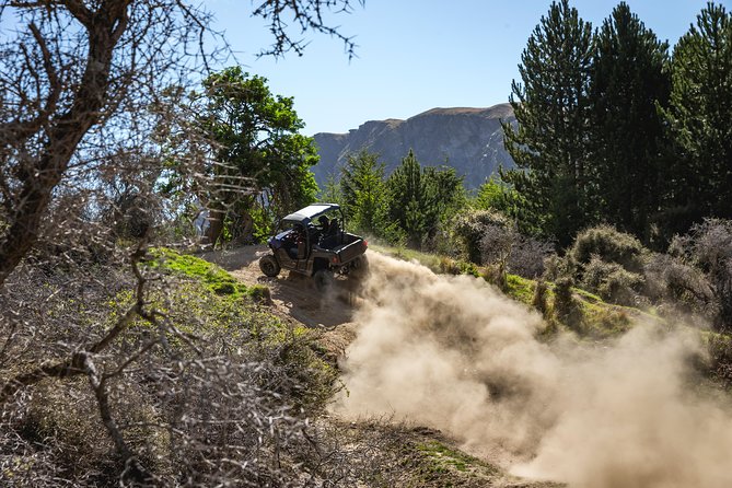 Queenstown Guided Self-Drive Buggy Tour - Family appeal, driving rules, and comfort