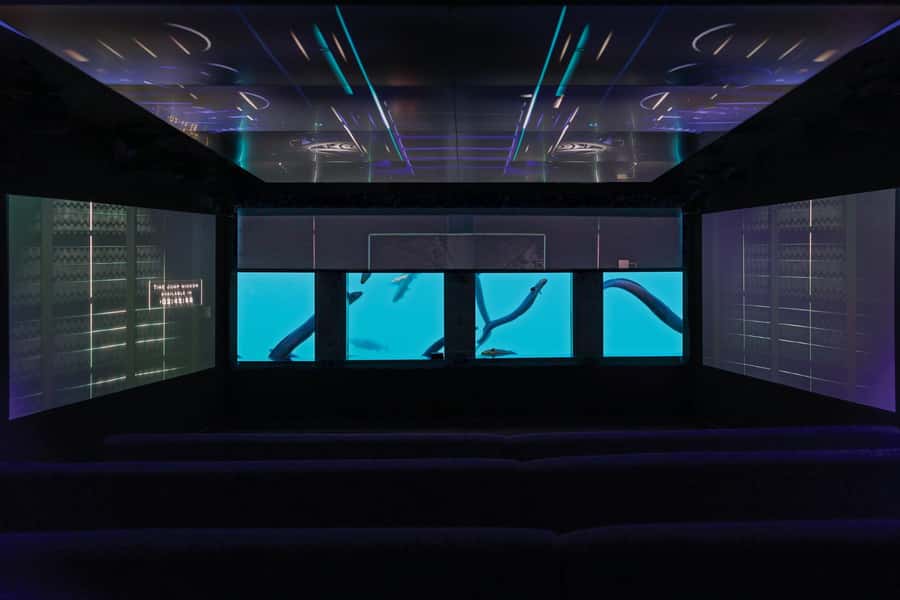 Queenstown: Hidden Underwater Theatre Experience - Inside the 14-minute black light theatre