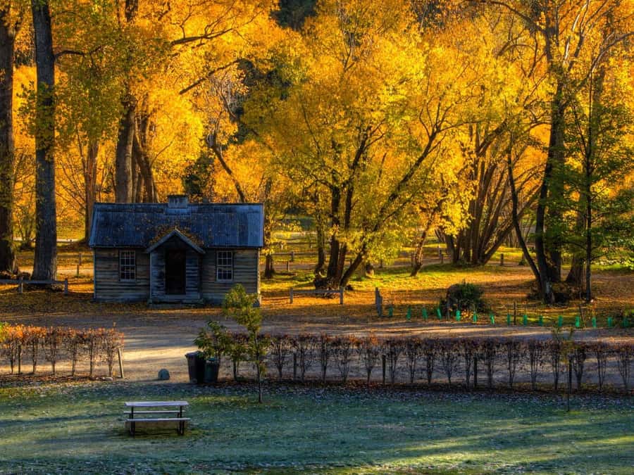 Queenstown: Highlights Tour with Wine Tasting - Why this three-hour Queenstown tour works