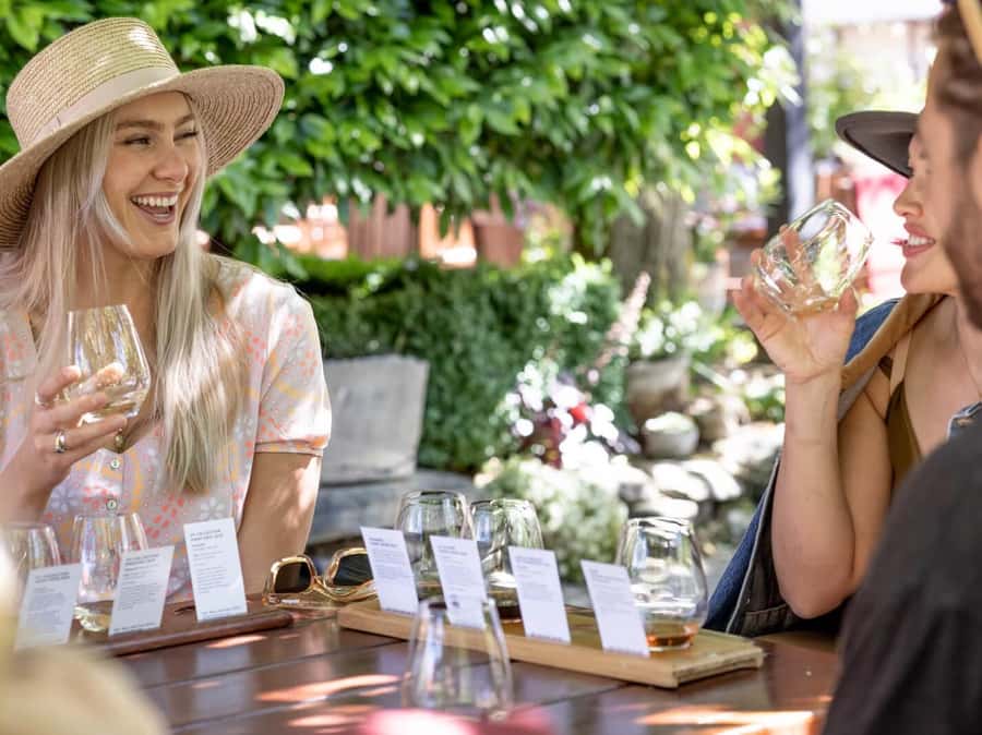 Queenstown: Highlights Tour with Wine Tasting - Through Kawarau Gorge and the Lord of the Rings country