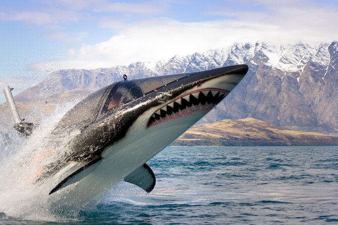 Queenstown Hydro Attack Shark Ride Adventure - Key points to know before you book