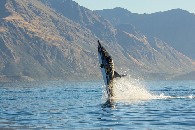 Queenstown Hydro Attack Shark Ride Adventure - Why calmer water can improve the experience