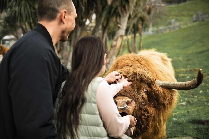 Queenstown Lake Cruise and Walter Peak Farm Adventure - Key points to know before booking