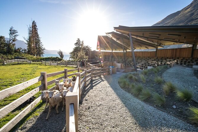Queenstown Lake Cruise and Walter Peak Farm Adventure - How the $83.78 price measures up