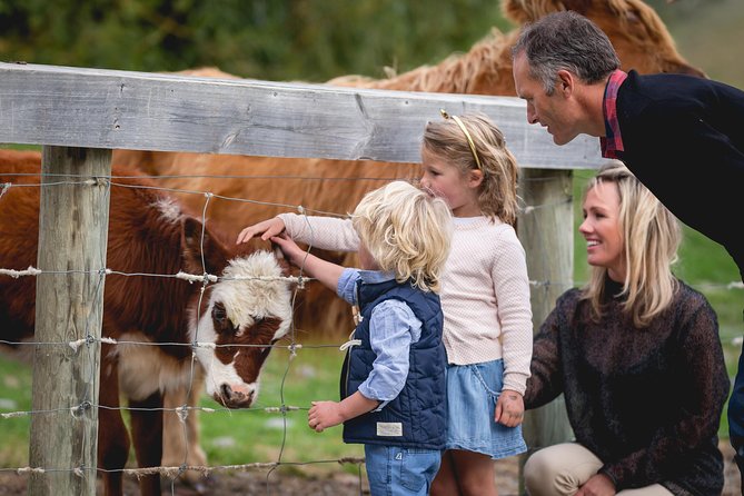 Queenstown Lake Cruise and Walter Peak Farm Adventure - Should you book the Walter Peak Farm Adventure?