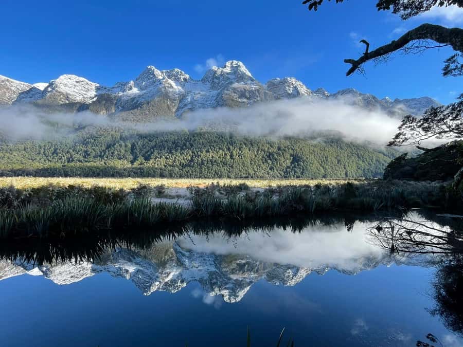 Queenstown: Milford Sound Small-Group Tour w Cruise & Lunch - The Milford Sound cruise is the main event