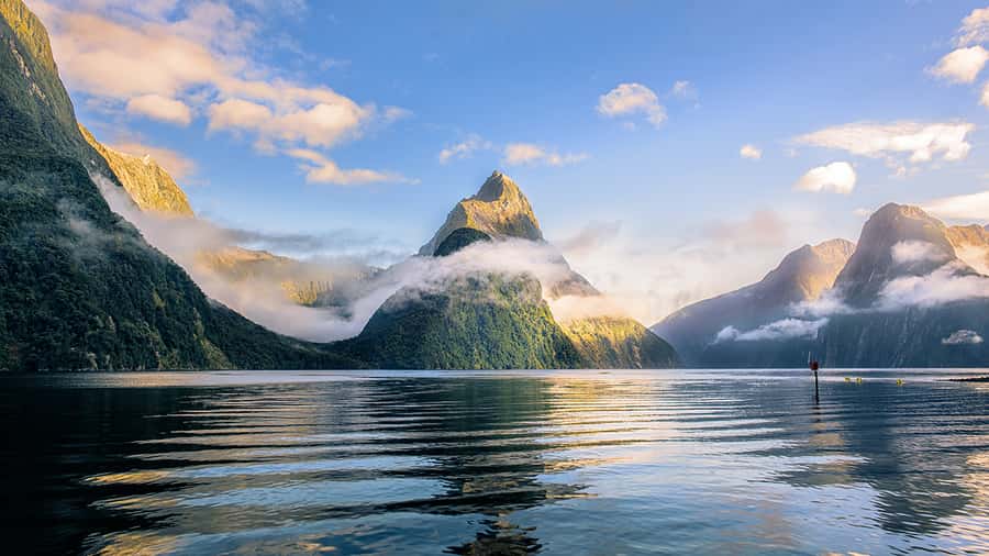 Queenstown: Milford Sound Small-Group Tour w Cruise & Lunch - The minivan makes a difference