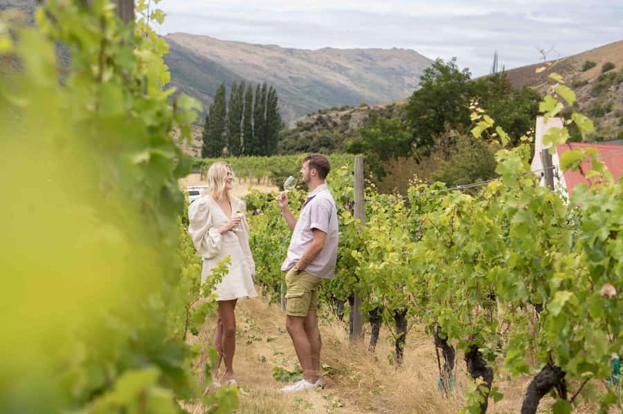 Queenstown: Original Premium Half-Day Gibbston Wine Tour - The first two one-hour tastings
