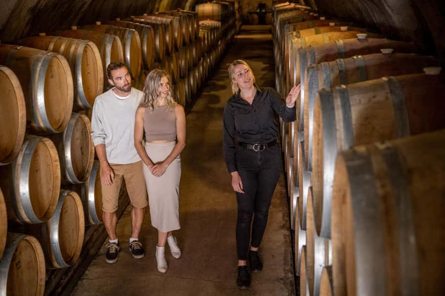 Queenstown: Original Premium Half-Day Gibbston Wine Tour - Is $118 good value?