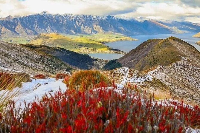 Queenstown Private Airport Transfer: Door to Door Service - What happens after your flight lands