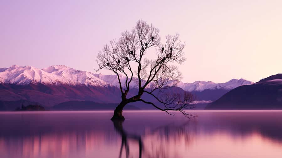 Queenstown: Private Day Trip to Wanaka, Arrowtown & More - Crossing the Crown Range is part of the experience