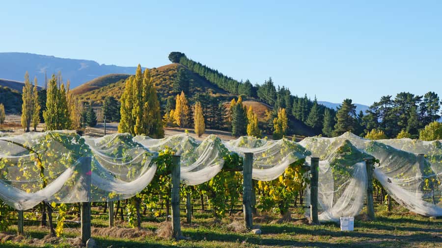 Queenstown: Private Day Trip to Wanaka, Arrowtown & More - Cardrona offers a short, characterful pause