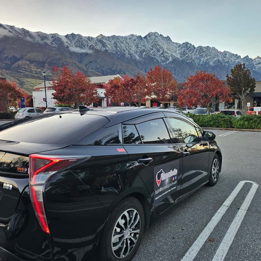 Queenstown: Private Day Trip to Wanaka, Arrowtown & More - Lake Dunstan and Cromwell show another side of Otago
