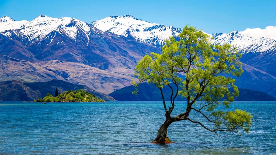 Queenstown: Private Day Trip to Wanaka, Arrowtown & More - Arrowtown brings the region’s past into focus
