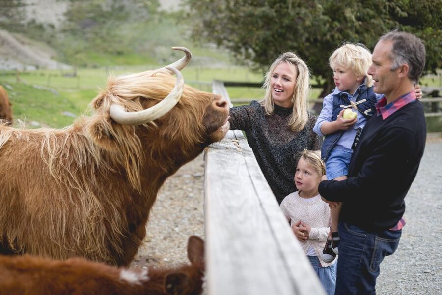 Queenstown: Queenstown Lake Cruise and Walter Peak Farm Tour - How the timing works for a busy itinerary