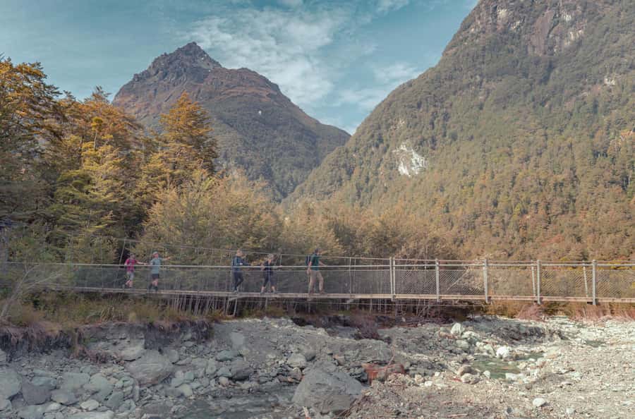 Queenstown: Routeburn Track Guided Full-Day Walk or Half Day - Forest, tarns, meadows, and alpine gardens
