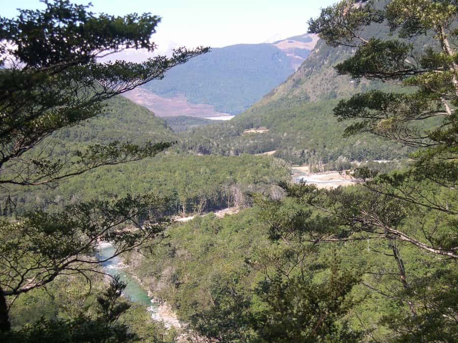Queenstown: Routeburn Track Guided Full-Day Walk or Half Day - Half-day or full-day: choosing the right version