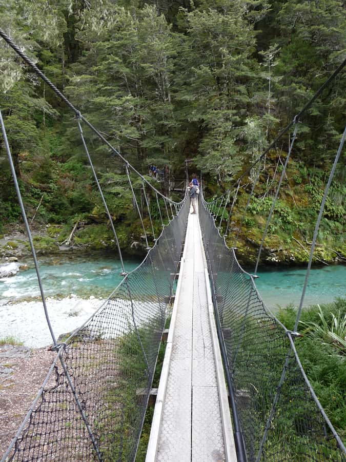 Queenstown: Routeburn Track Guided Full-Day Walk or Half Day - Is $152 a fair price?