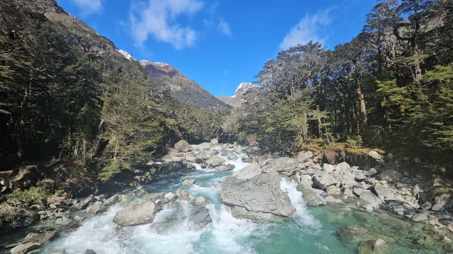 Queenstown: Routeburn Track Guided Full-Day Walk or Half Day - Entering the Routeburn Track by swing bridge