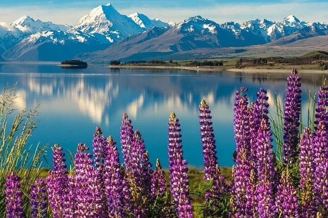 Queenstown to Christchurch One Way Tour Via Lake Tekapo & Mt Cook - Mount Cook: The Day’s Main Event