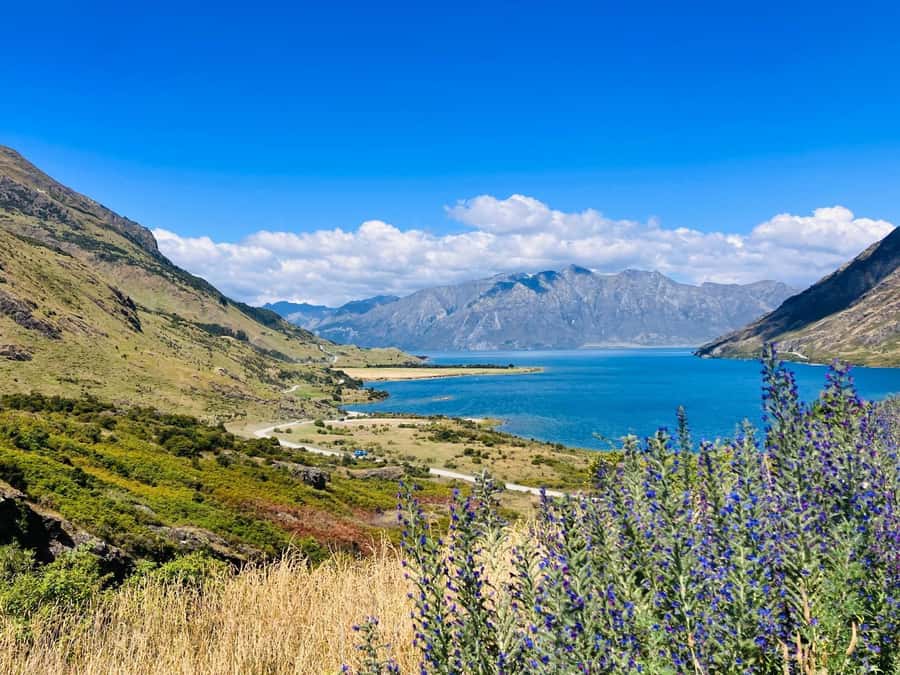 Queenstown to Christchurch via Franz Josef 2-Day Tour - Day two: Hokitika Gorge and the greenstone town