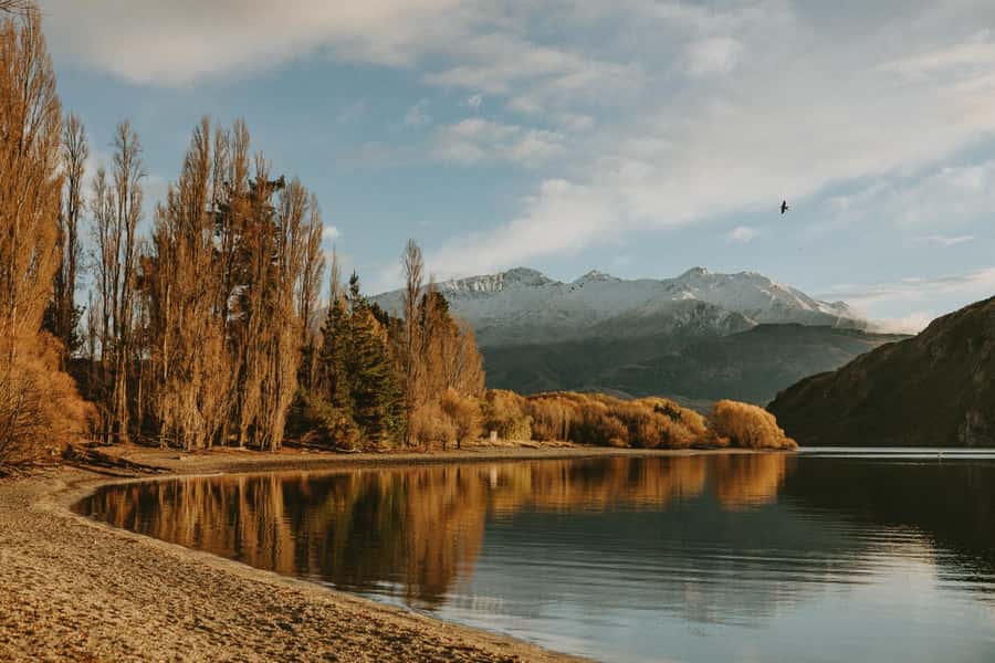 Queenstown to Christchurch via Franz Josef 2-Day Tour - Otira Gorge and Arthur’s Pass Village