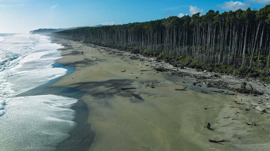 Queenstown to Franz Josef small group tour (one-way) - Key points to know before booking