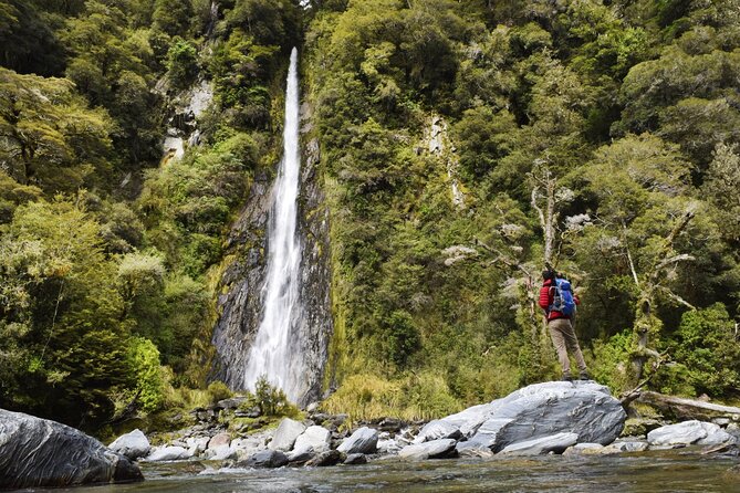 Queenstown to Franz Josef via Wanaka Small Group Day Tour (1-Way) - Blue Pools Track in Mt Aspiring National Park